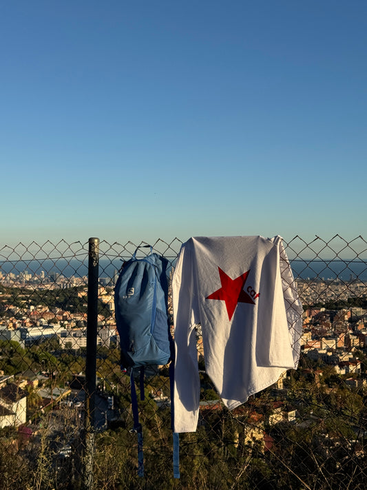 Bon Dia Cat Màniga Llarga